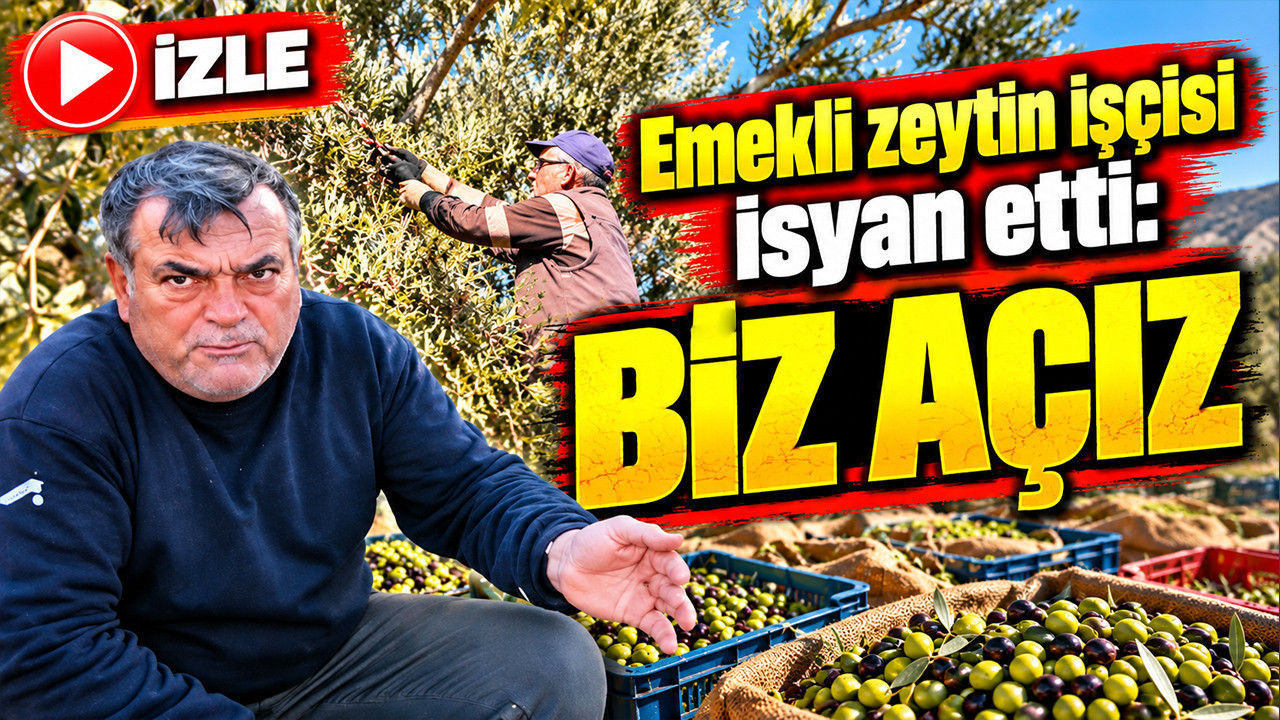 Emekli zeytin işçisi isyan etti: Biz açız